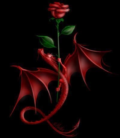 amoruv-sip-ruze-drak