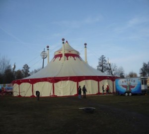 cirkus