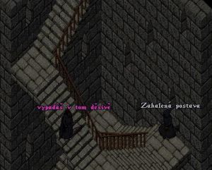 schody_plaste