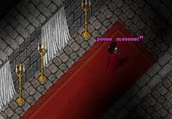 noc_pomoc.jpg